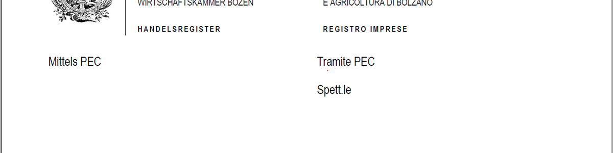 Segnalazione al Tribunale ai sensi dell’art. 2477 c.c. per la nomina d’ufficio dell’organo di controllo o del revisore.